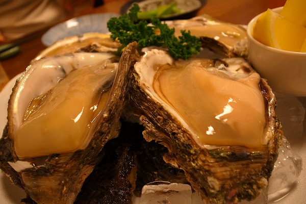 a0003089_074778.jpg