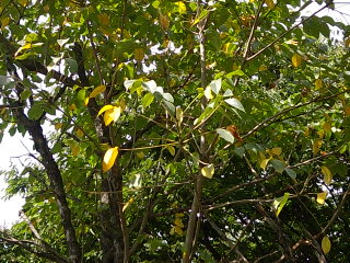 b0064395_12535142.jpg