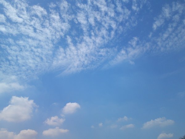 a0031000_17162092.jpg