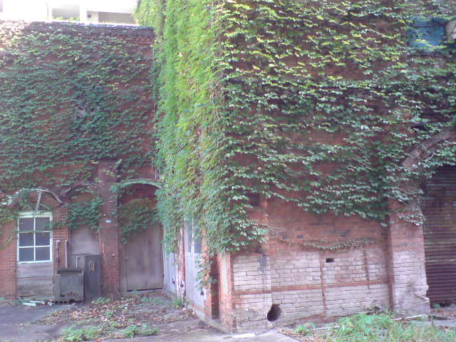 b0009103_9575537.jpg