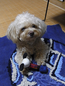 a0249004_1530090.jpg