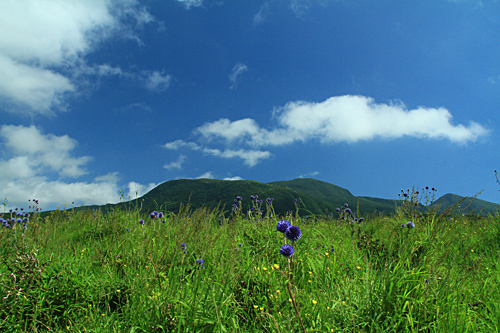 b0014607_22502248.jpg
