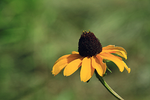 b0014607_2251116.jpg