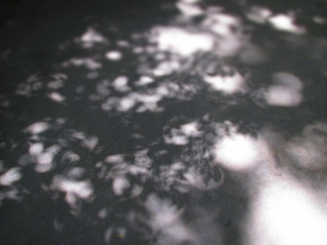 f0039907_12445563.jpg