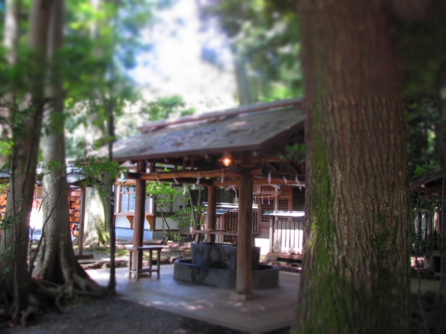 f0039907_12465424.jpg