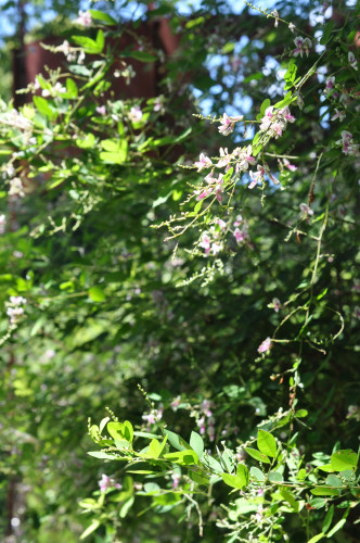 f0188408_15235183.jpg