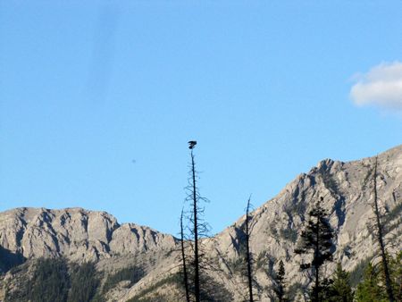 b0051109_8402216.jpg