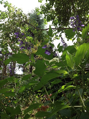 e0233111_22423837.jpg