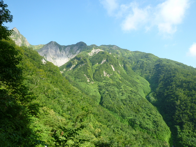 d0170615_9455657.jpg