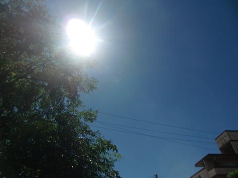 b0132619_10433439.jpg
