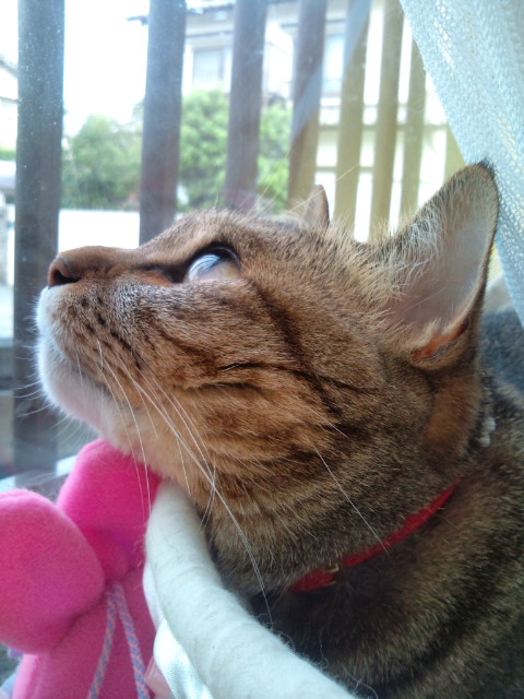 f0220919_1015012.jpg