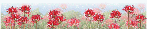 a0098027_21571554.gif