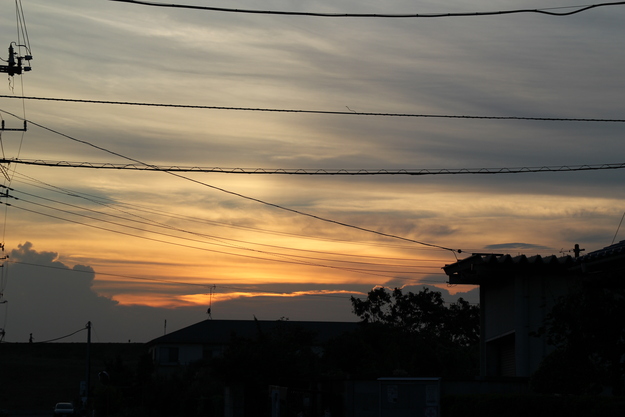 e0166032_6513861.jpg