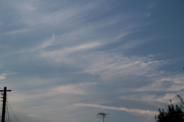 e0166032_652544.jpg