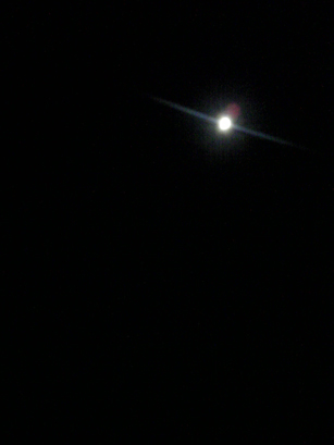 a0259533_23475223.jpg