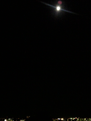 a0259533_23482815.jpg