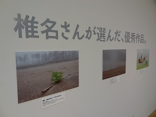 e0132433_18433497.jpg