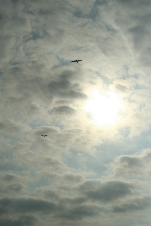 a0097735_22395757.jpg