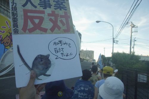 c0111535_1265995.jpg