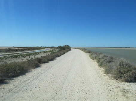 d0167041_17464462.jpg