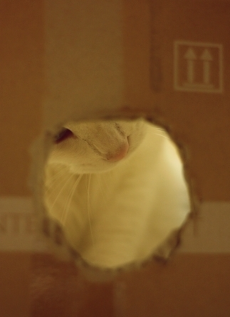 b0148547_14112288.jpg