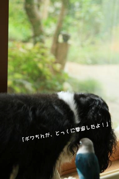 c0145250_1041254.jpg
