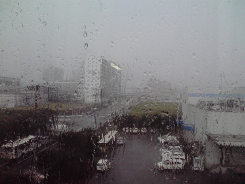 f0057955_219464.jpg