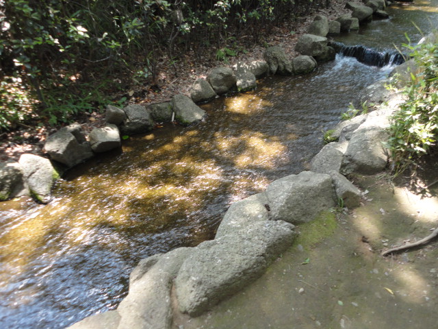 d0202258_22583280.jpg