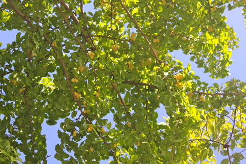 a0248459_19122672.jpg