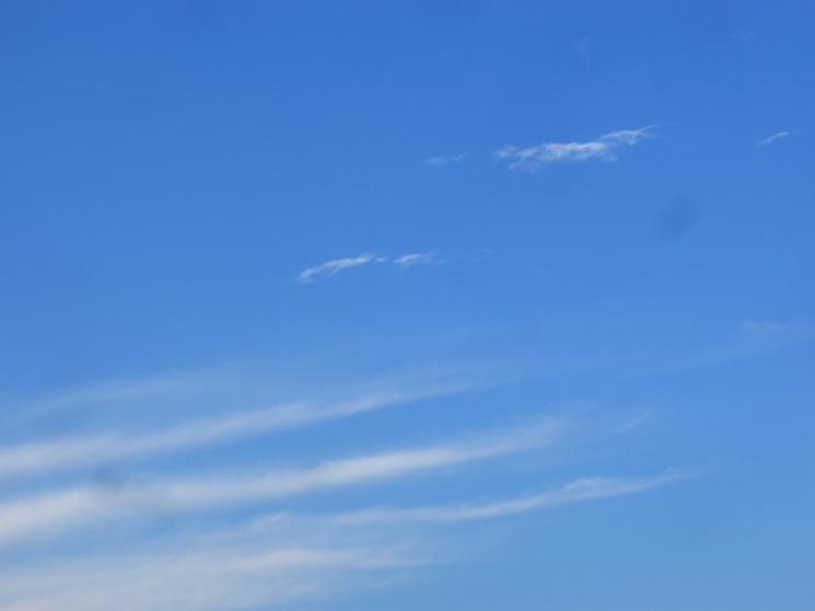 d0113159_133395.jpg