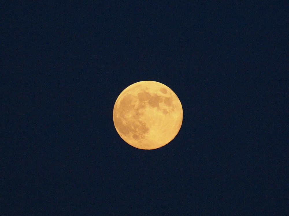 a0073065_18492126.jpg
