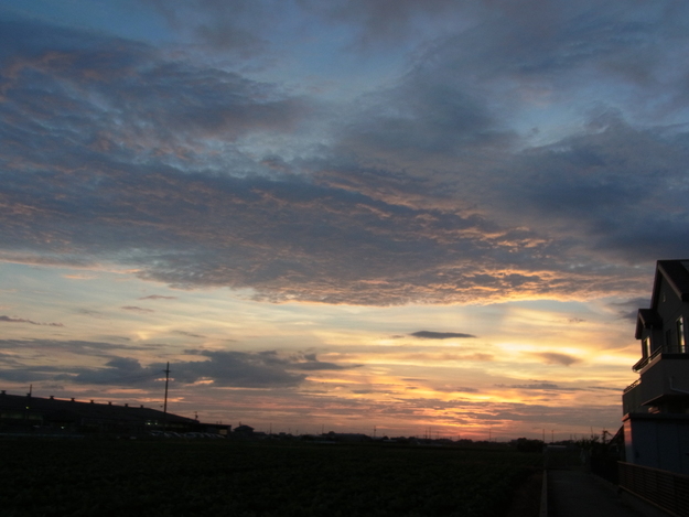 b0194267_19415455.jpg