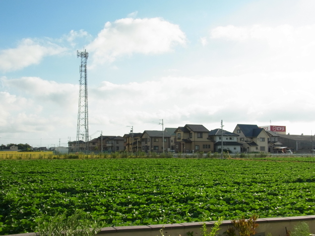 b0194267_2024435.jpg