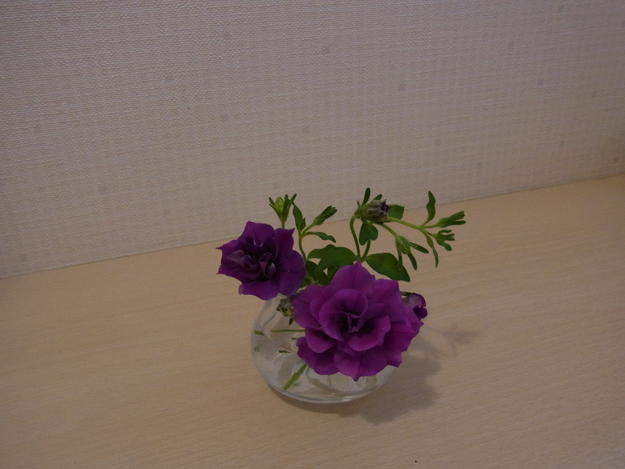 b0194267_21344858.jpg