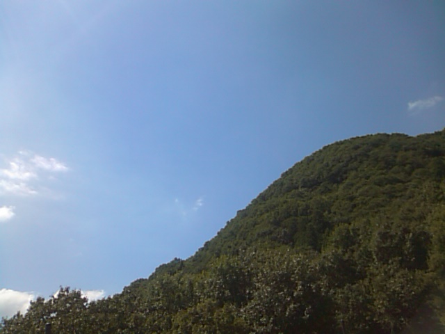 f0061067_20481610.jpg