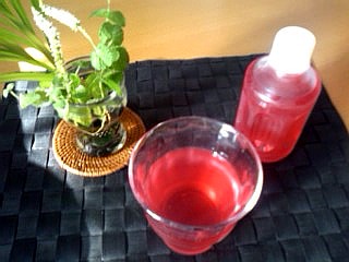 f0099367_8163664.jpg