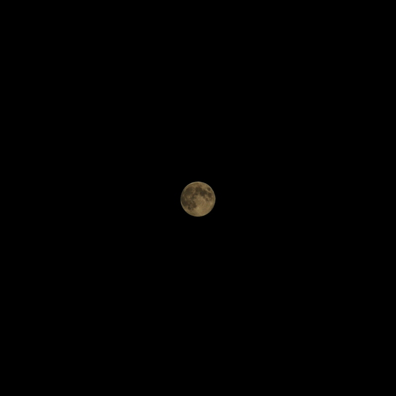 c0195570_2312978.jpg
