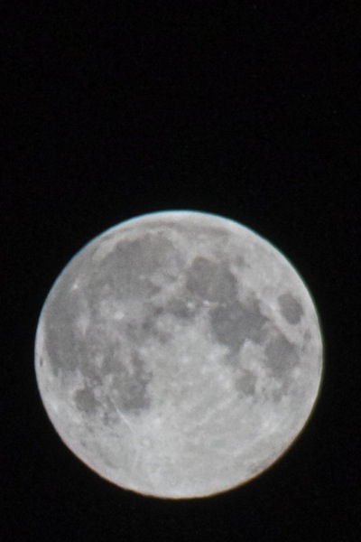 b0130271_23141672.jpg