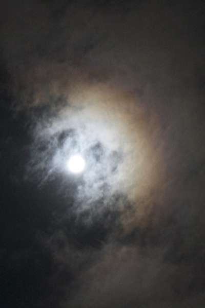 b0130271_23145267.jpg
