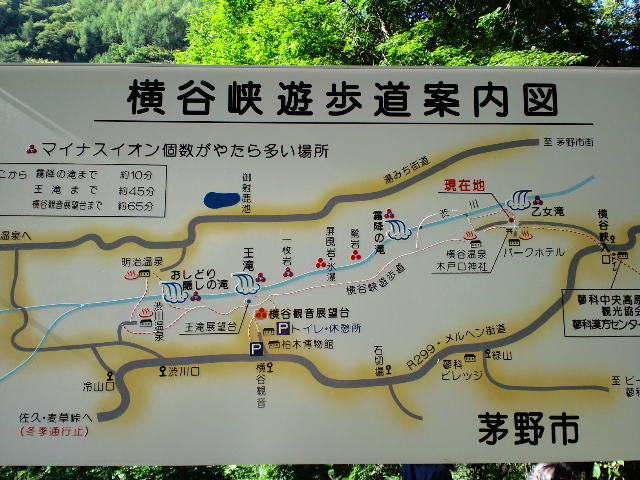 d0147774_14272316.jpg