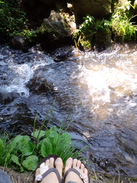 d0147774_14311757.jpg