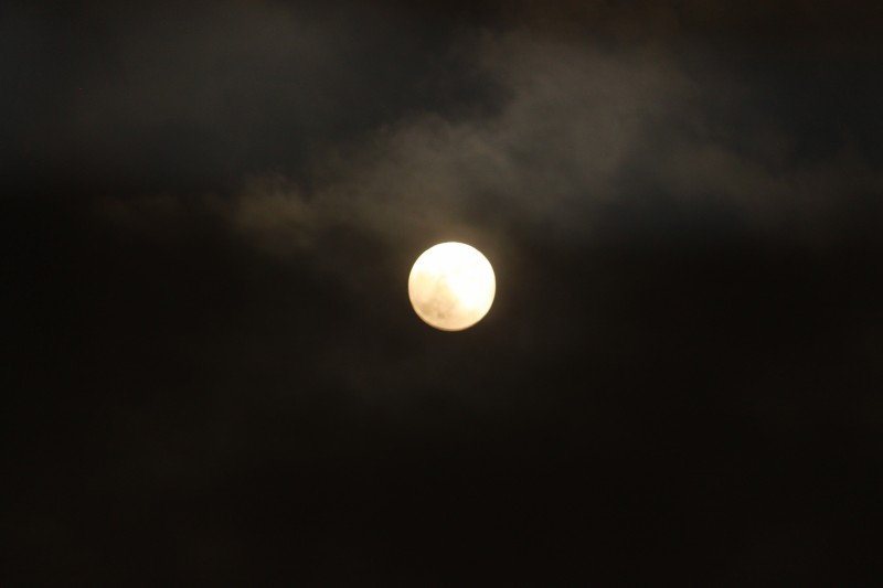 f0165677_21211681.jpg