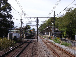 d0124878_8234059.jpg