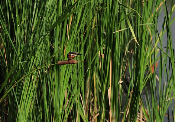 d0157380_17172910.jpg