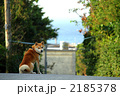 d0261484_1405847.jpg