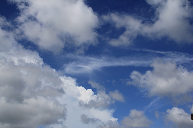 b0238886_13471084.jpg