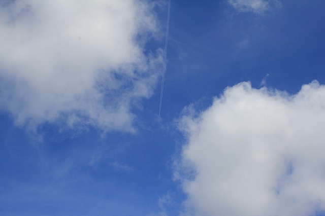 b0238886_13471931.jpg