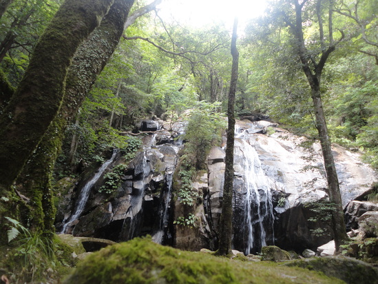 f0131491_148208.jpg