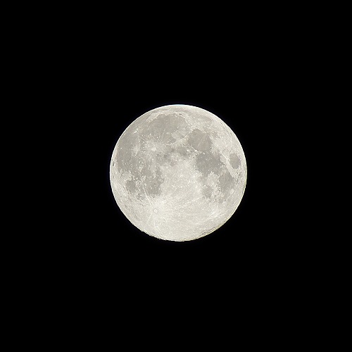 b0119493_2356829.jpg