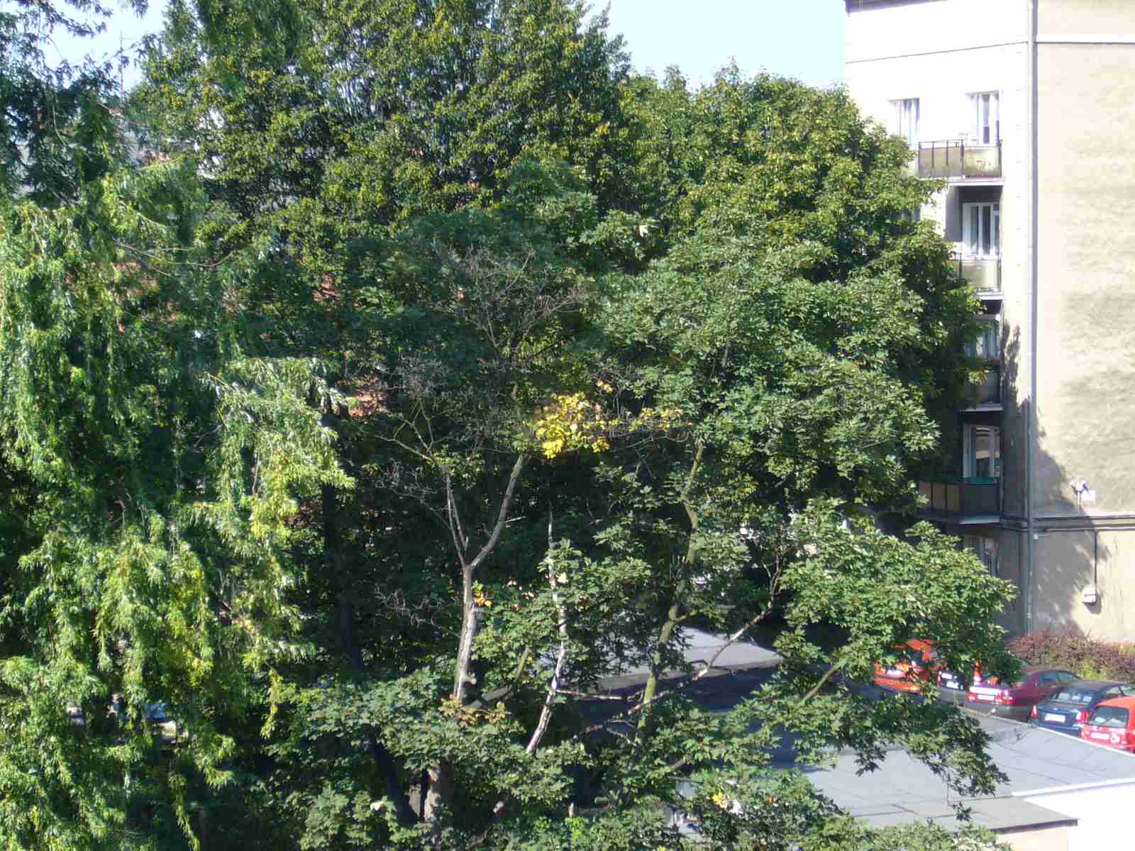 f0169397_4555759.jpg